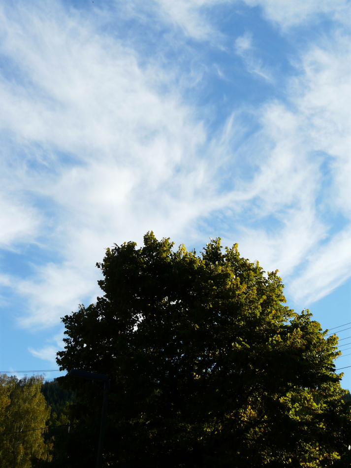Wolkenkreisbogen mit Baum